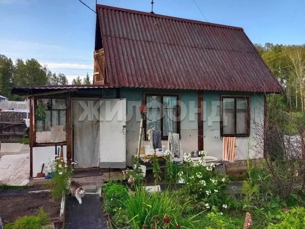 Дом в Новосибирская область, Мошковский район, с. Сокур  (30 м) - Фото 1
