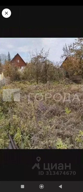 Участок в Новосибирская область, Новосибирский район, Каменский ... - Фото 1