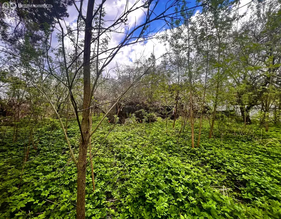 Участок в Балашиха, микрорайон Кучино, Институтская улица, 23 (14.8 м) - Фото 2