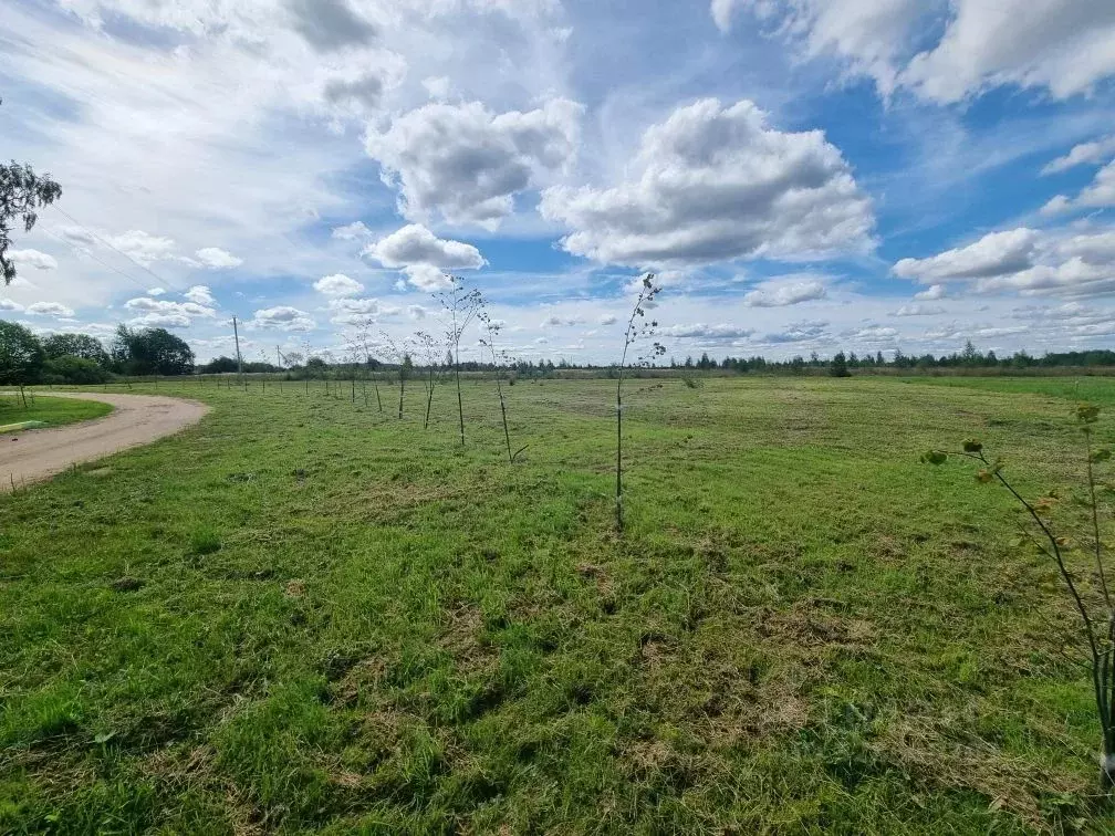 Участок в Ивановская область, Ивановский муниципальный округ, д. ... - Фото 2