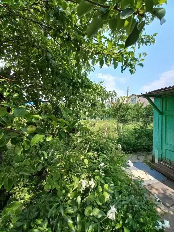 Дом в Нижегородская область, Нижний Новгород Буревестник СНТ, 22 (30 ... - Фото 2