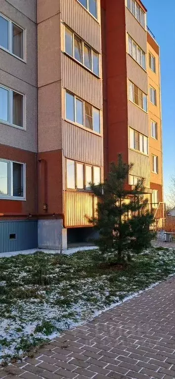 2-к кв. Ленинградская область, Коммунар Гатчинский район, ул. ... - Фото 1