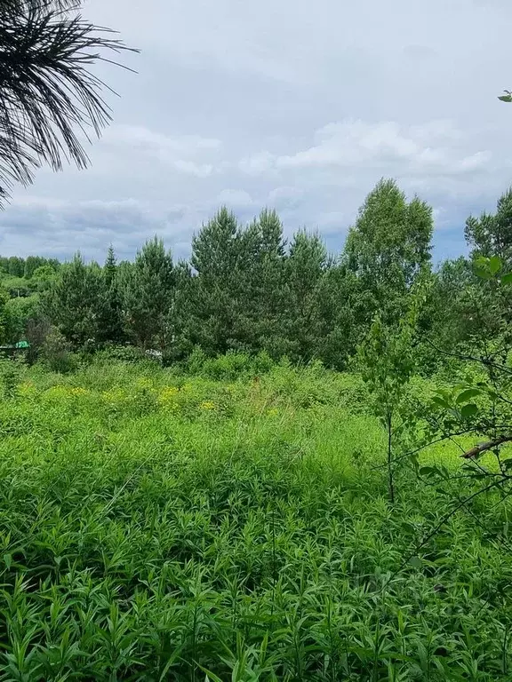 Участок в Кемеровская область, Новокузнецкий муниципальный округ, ... - Фото 2