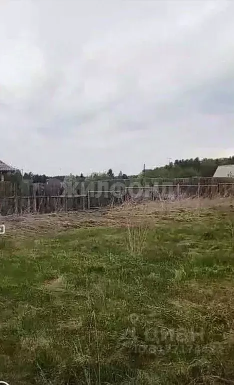 Участок в Новосибирская область, Ордынский район, с. Спирино ул. ... - Фото 1