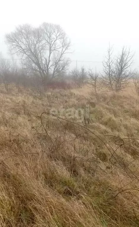 Участок в Балтийский городской округ, посёлок Дивное (10 м) - Фото 1