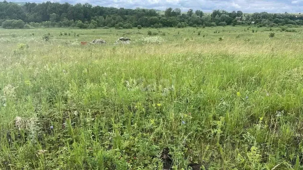 Участок в Башкортостан, Иглинский район, Акбердинский сельсовет, с. ... - Фото 1