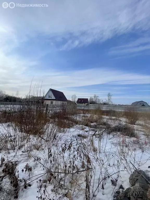 Участок в Биробиджан, посёлок Августовский, Полярный переулок, 10 (16 ... - Фото 1