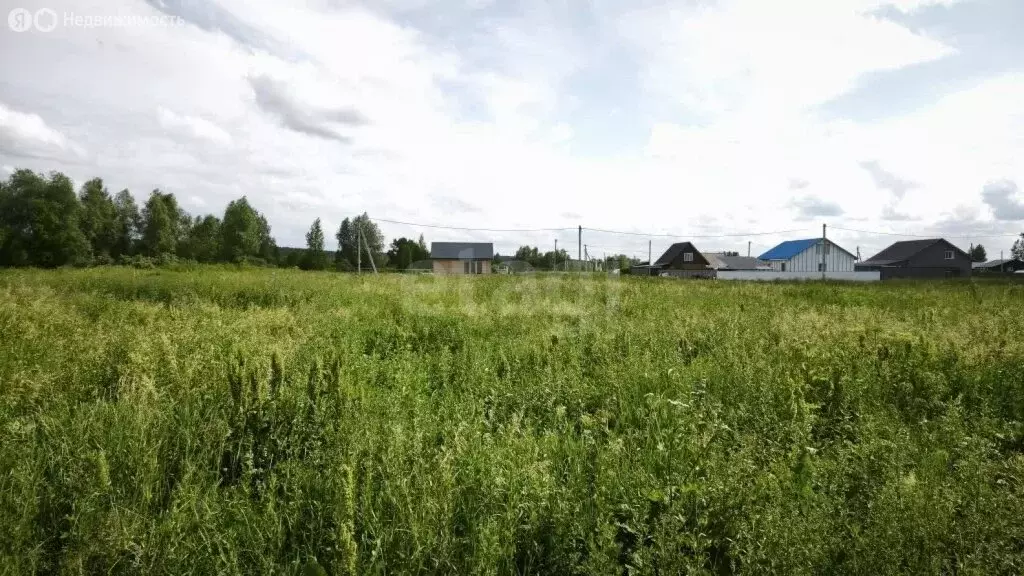 Участок в Новосибирский район, село Кубовая (7.73 м) - Фото 1