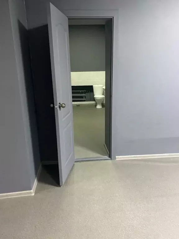 Помещение свободного назначения в Еврейская автономная область, ... - Фото 2