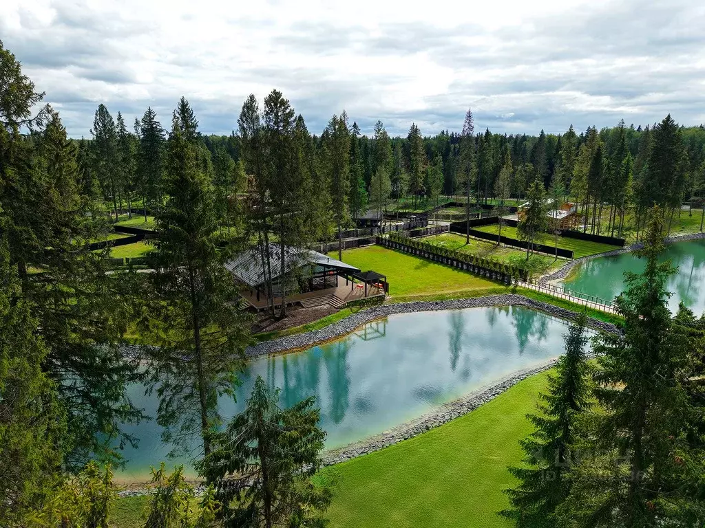 Участок в Московская область, Клин городской округ, Ели Эстейт ... - Фото 1