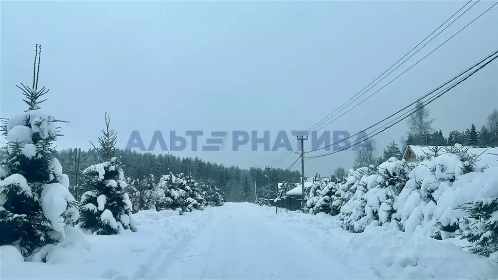 Участок в Ярославская область, Переславль-Залесский муниципальный ... - Фото 1