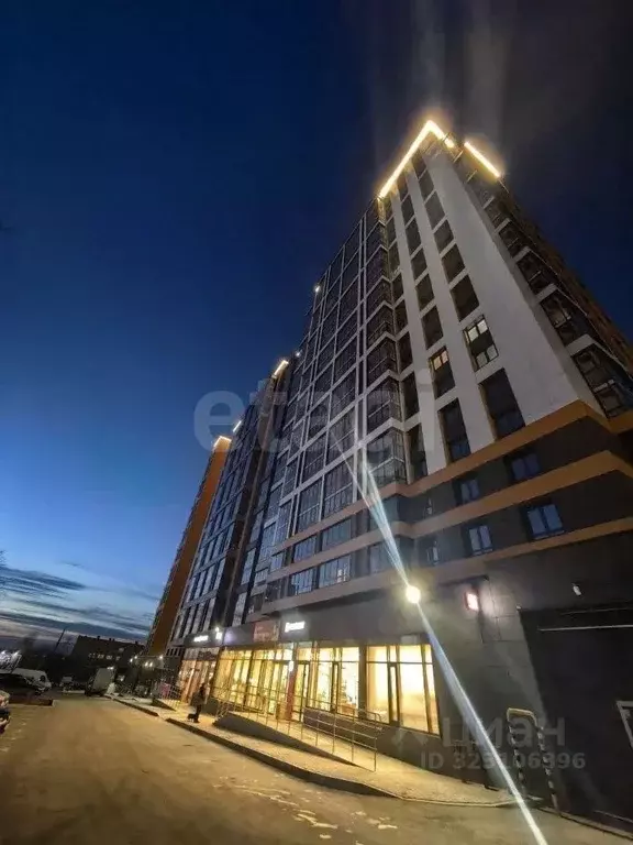 Студия Пермский край, Пермь ул. Космонавта Леонова, 41к2 (28.7 м) - Фото 1