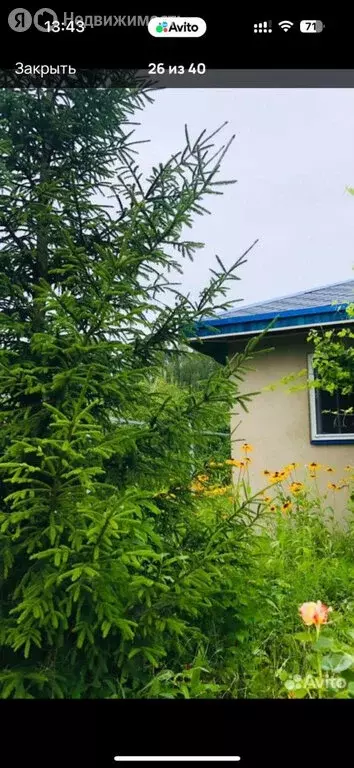 Дом в Тверская область, Калининский муниципальный округ, СНТ Берёзка-1 ... - Фото 2