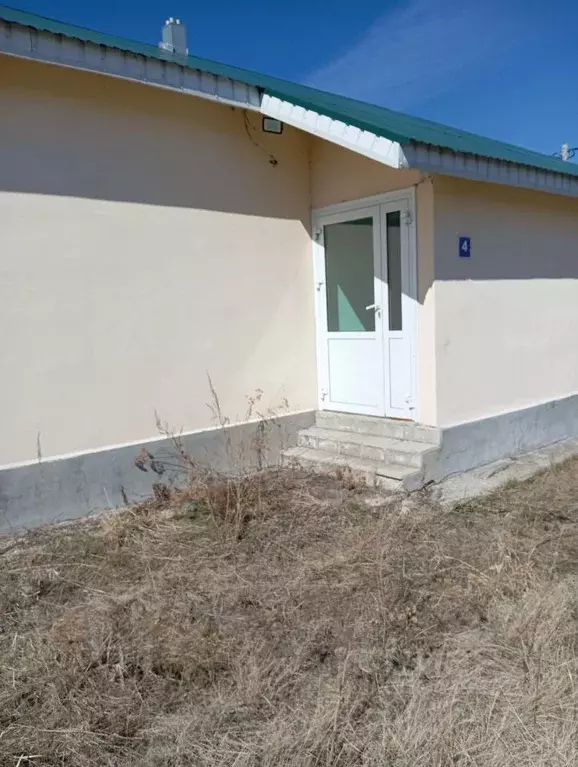 Помещение свободного назначения в Челябинская область, с. Чесма ул. ... - Фото 1