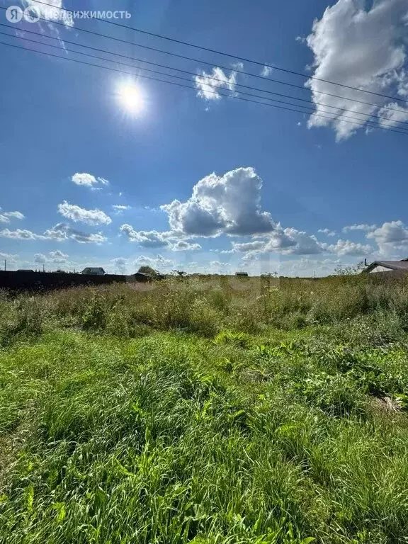 Участок в Волосовский район, деревня Клопицы (38 м) - Фото 1