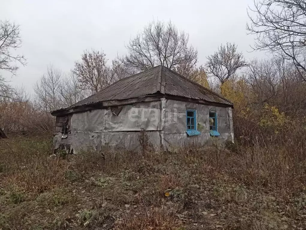 Дом в Белгородская область, Губкинский городской округ, с. Панки ул. ... - Фото 1