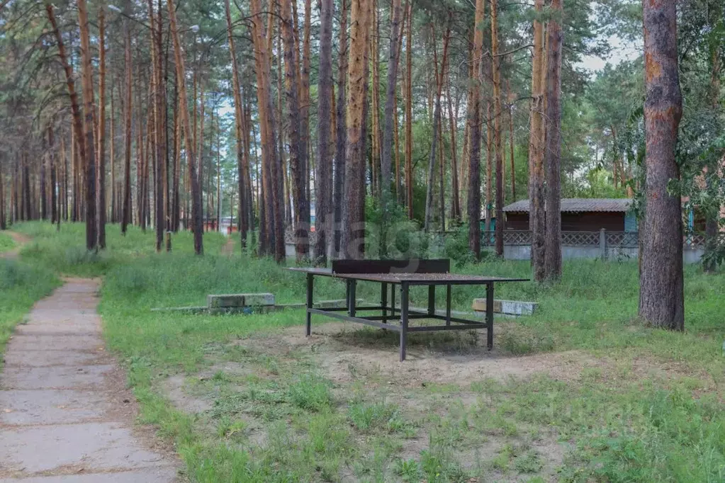 Комната Иркутская область, Ангарск 92-й кв-л, 17 (17.0 м) - Фото 0