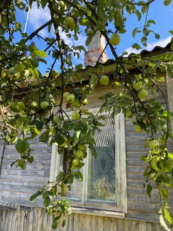 Дом в Ленинградская область, Кировский район, Синявинское городское ... - Фото 2