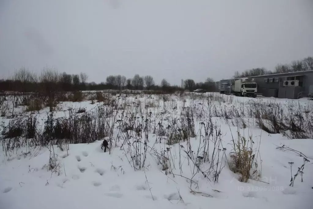 Участок в Вологодская область, Шекснинский муниципальный округ, д. ... - Фото 1