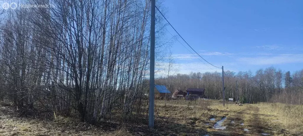 Участок в Владимирская область, Собинский муниципальный округ, деревня ... - Фото 1