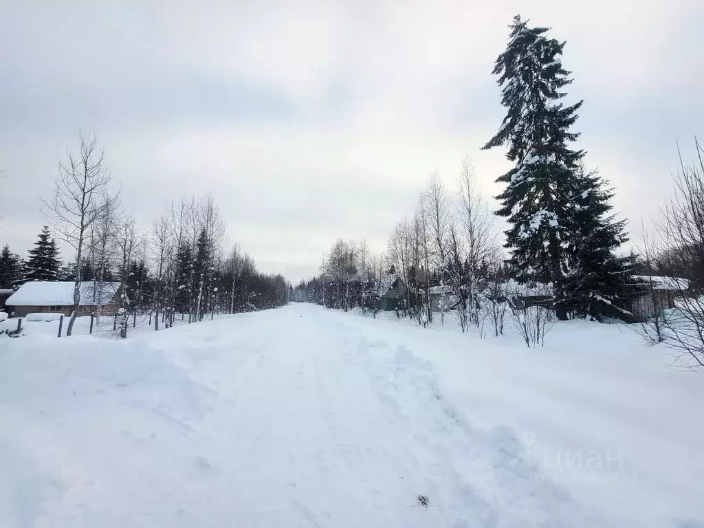 Участок в Коми, Сыктывдинский район, Выльгорт муниципальное ... - Фото 1