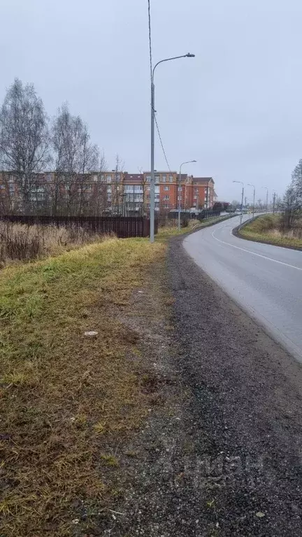 Участок в Москва пос. Рогово, ул. Березки, 10к1 (10.0 сот.) - Фото 2