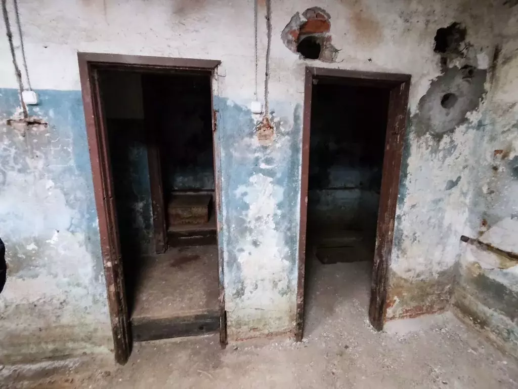 Помещение свободного назначения в Санкт-Петербург просп. Большевиков, ... - Фото 2