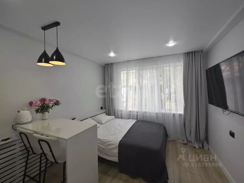 Студия Ставропольский край, Ессентуки ул. Кочубея (18.0 м) - Фото 0
