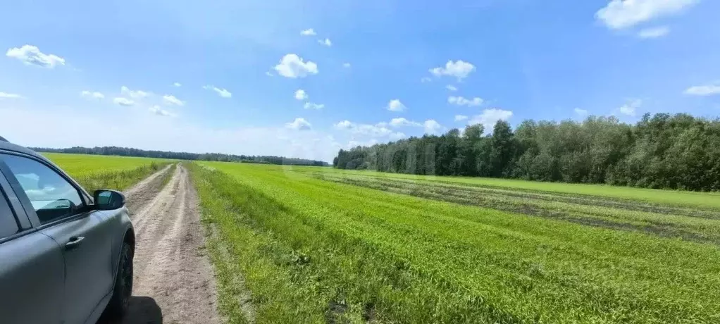 Участок в Тюменская область, Тюменский муниципальный округ, ... - Фото 1
