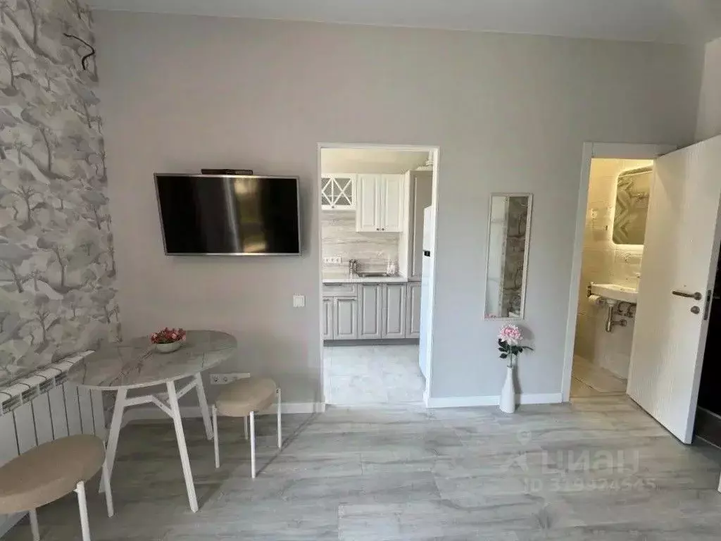 1-к кв. Краснодарский край, Сочи Чаевод СНТ, Успенка кв-л, 2/13 (26.0 ... - Фото 2