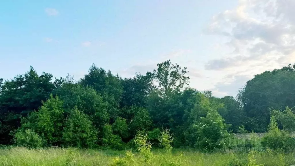 Участок в Калининградская область, Калининград  (6.0 сот.) - Фото 2