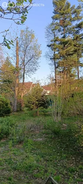 Участок в Владивосток, Советский район (9.95 м) - Фото 2