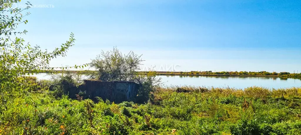 Дом в село Толстовка, Набережная улица, 40 (38.8 м) - Фото 1