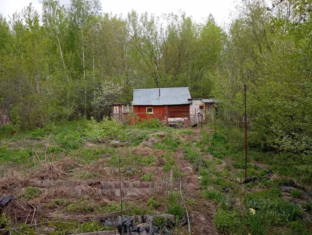 Участок в Нижегородская область, Нижний Новгород ОАО Нижегородский ... - Фото 1