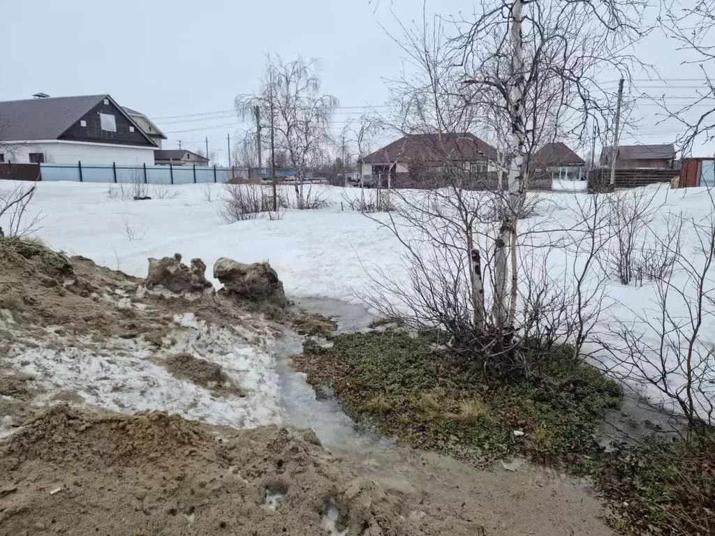 Участок в Ямало-Ненецкий АО, Новый Уренгой Дружба ДНТ, проезд 1-й ... - Фото 0