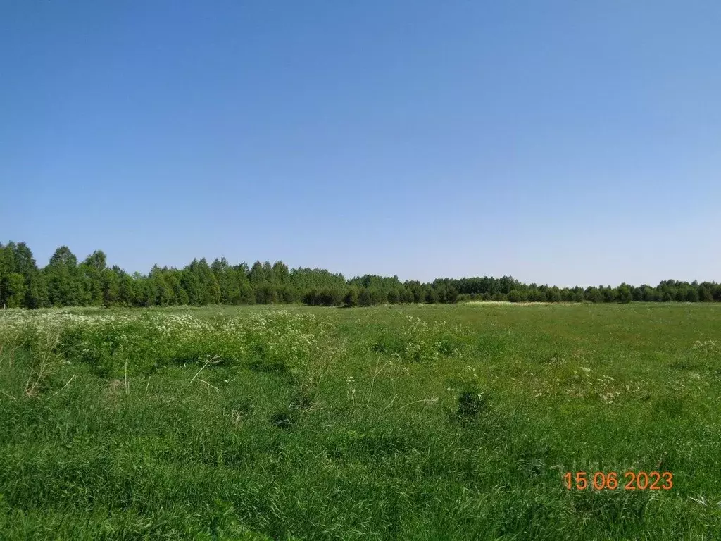 Участок в Вологодская область, Кичменгско-Городецкий муниципальный ... - Фото 1