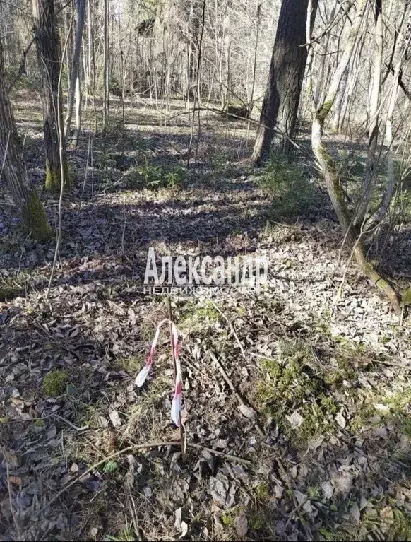 Участок, 8.9 сот., поселения (ижс) - Фото 1