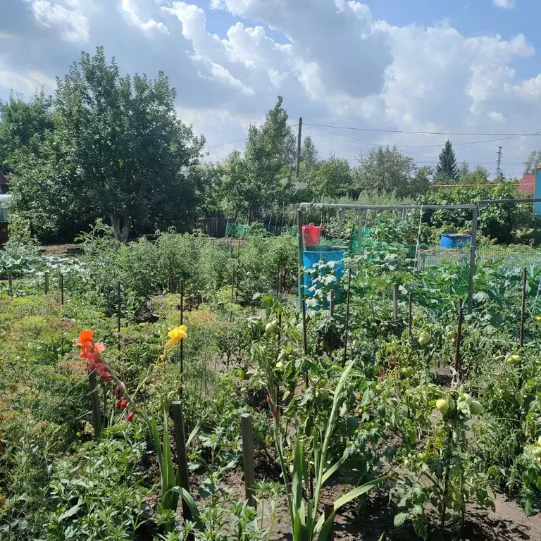 Дача Луговое Ульяновск Купить Заволжье