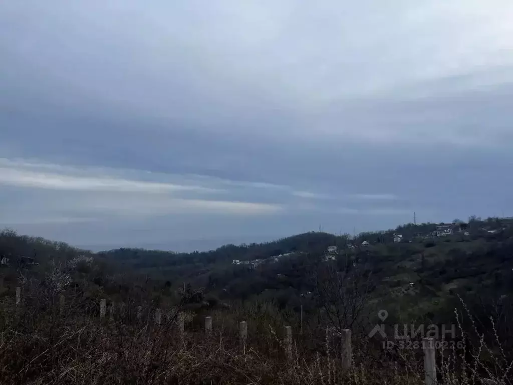 Участок в Краснодарский край, Сочи Чаевод СНТ, 56 (6.5 сот.) - Фото 2