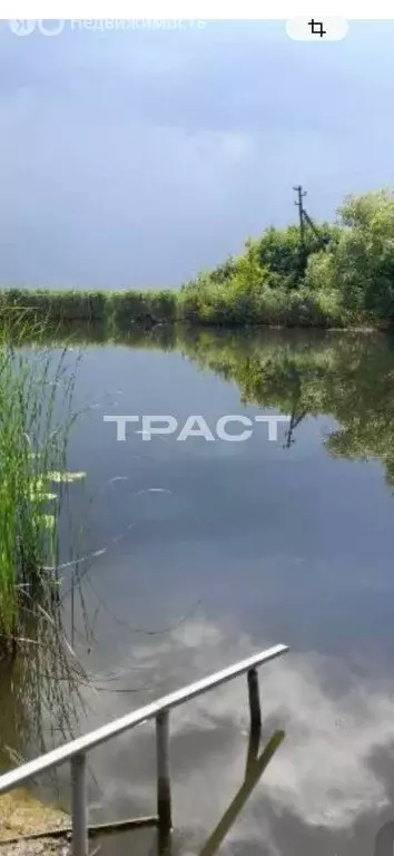 Участок в Новоусманский район, Усманское 1-е сельское поселение, село ... - Фото 2