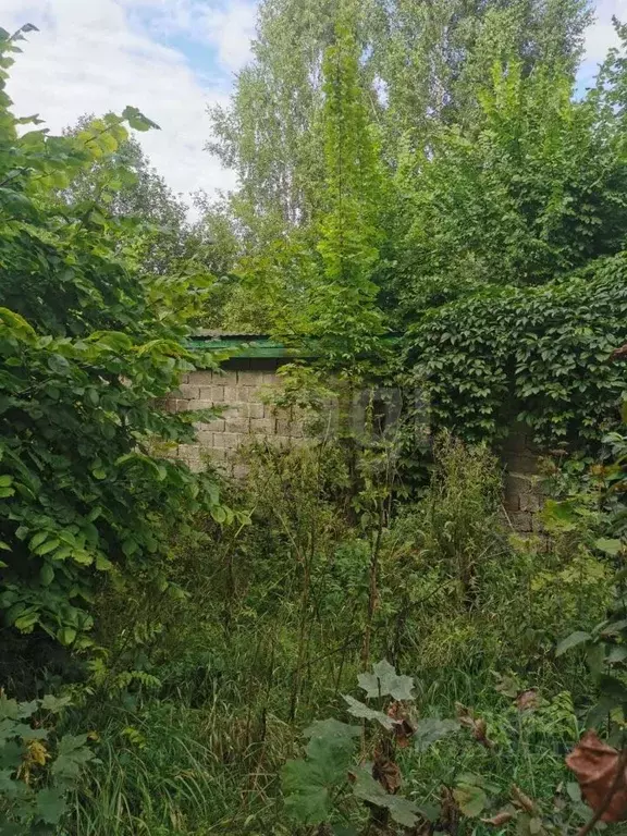 Участок в Башкортостан, Уфа городской округ, с. Нагаево ул. Майи ... - Фото 1