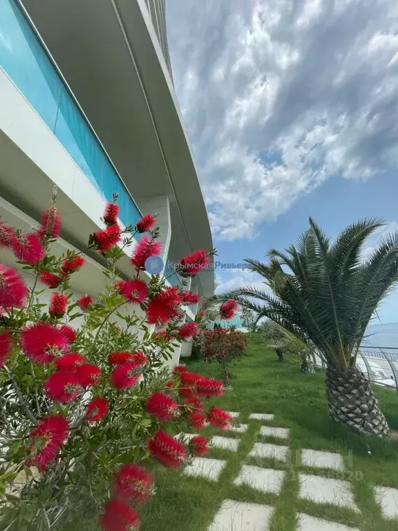 3-к кв. Крым, Ялта ул. Дражинского, 43 (95.0 м) - Фото 0