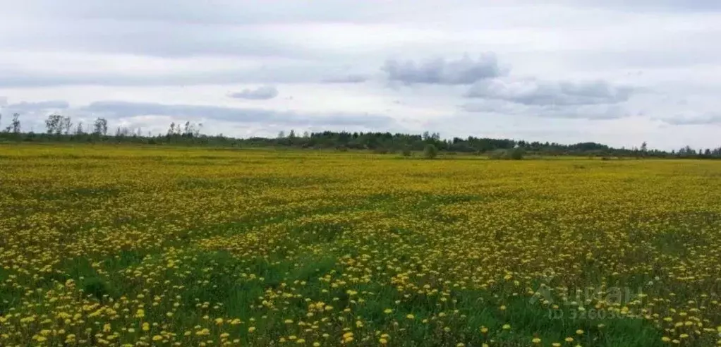 Участок в Астраханская область, Астрахань Полет СТ, 5 (8.6 сот.) - Фото 1
