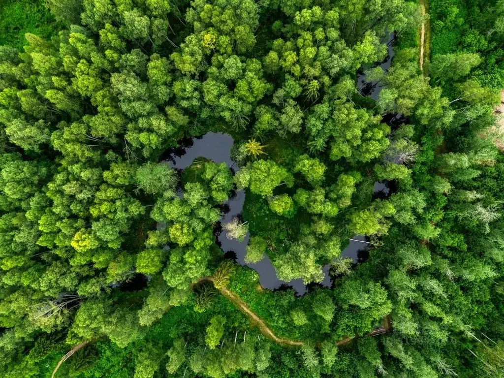 Дом в Ленинградская область, Тосненский район, Федоровское городское ... - Фото 0