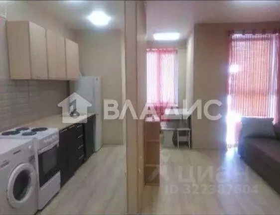 Студия Белгородская область, Белгород ул. Семейная, 9 (30.5 м) - Фото 2