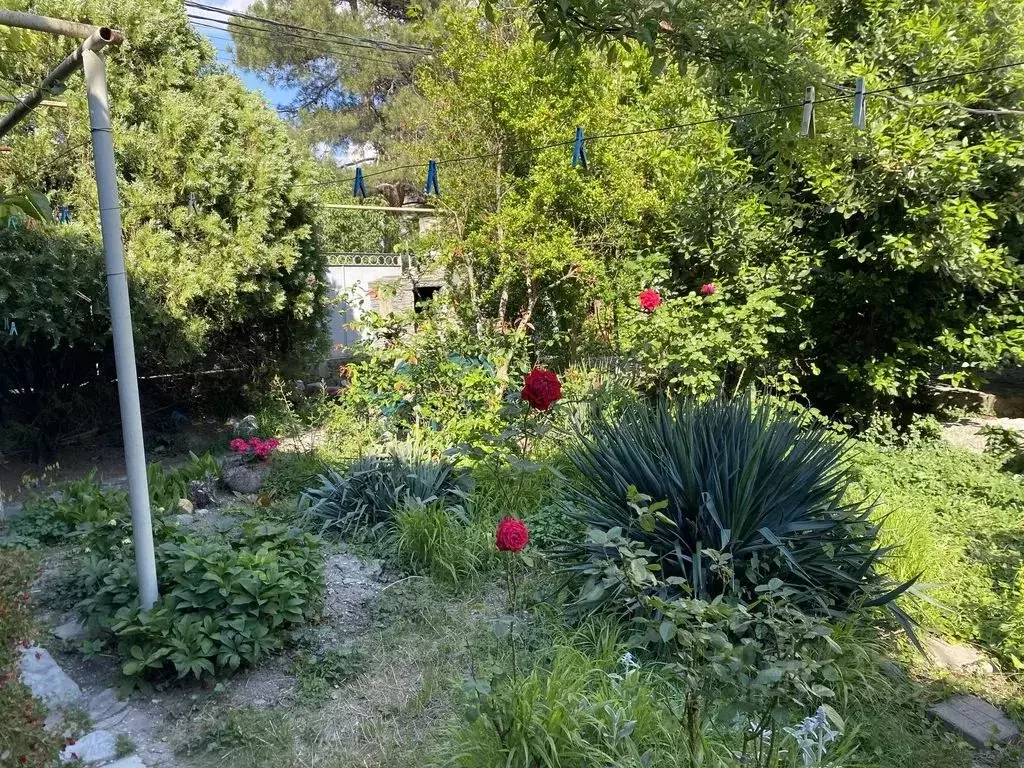 Дом в Краснодарский край, Геленджик ул. Декабристов, 32 (60 м) - Фото 2