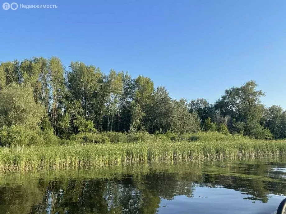 Участок в Красноармейский район, село Криволучье-Ивановка (173.9 м) - Фото 2