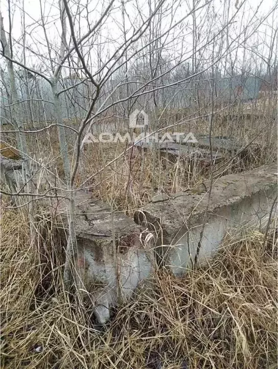 Купить Землю Волосовский Район