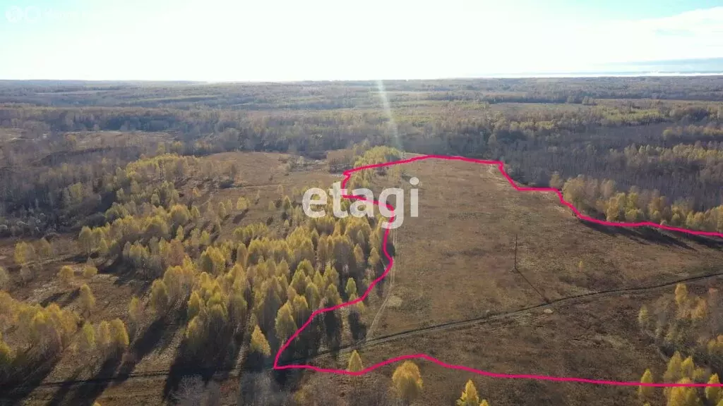 Участок в Мошковский район, село Сокур (7.2 м) - Фото 1