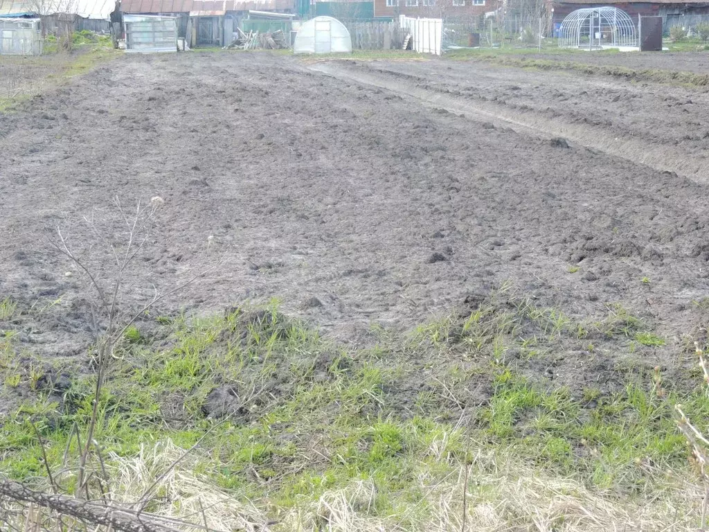 Участок в Нижегородская область, Арзамас городской округ, с. Кичанзино ... - Фото 1